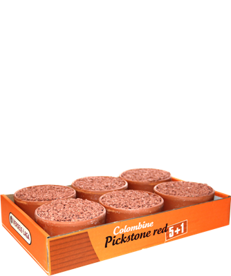 Versele Laga Pickstone Red 5 + 1 free