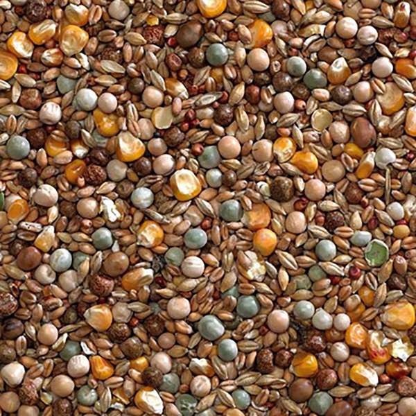 Bucktons Winter Economy Mix 20kg
