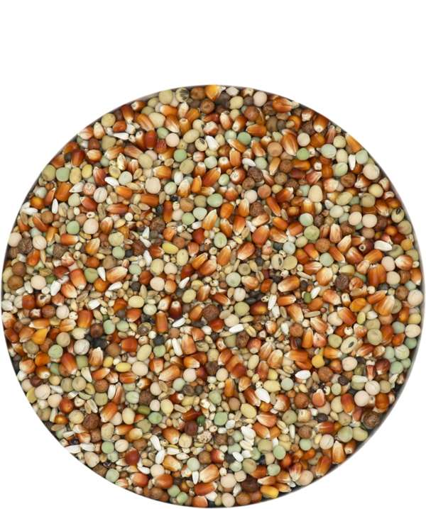 Versele Laga Breeding Extra Subliem 25kg
