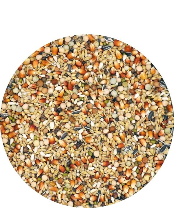 Versele Laga Moulting Extra Subliem 25kg