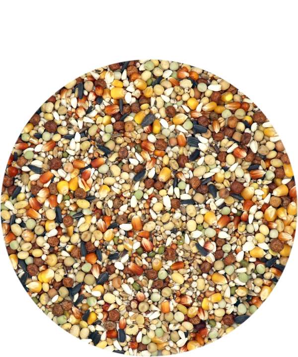 Versele Laga Super Power Moulting 25kg
