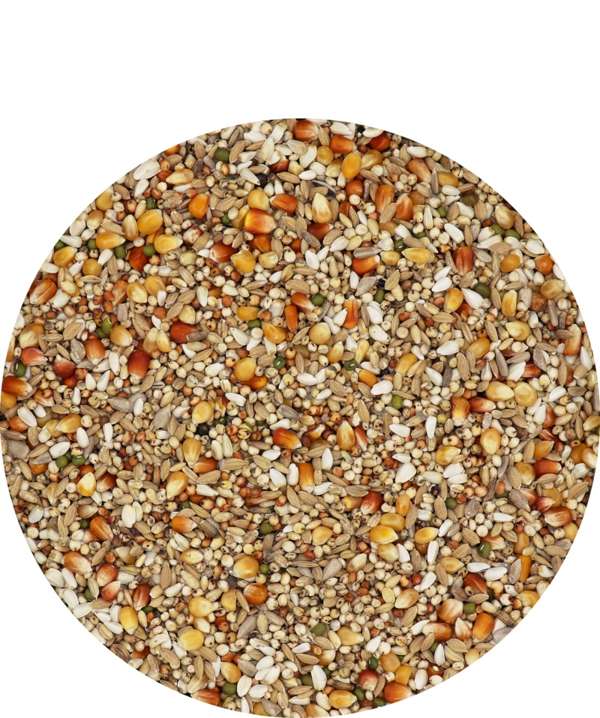 Versele Laga Premium Super Winner 20kg