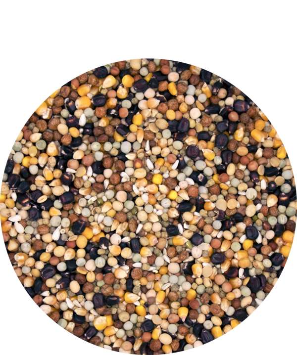 Versele Laga Black Label Plus Ic 20kg