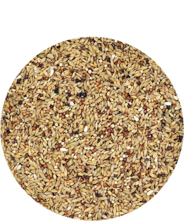 Mariman Depurative 25kg