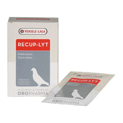 Versele Laga Recup-Lyt 240g